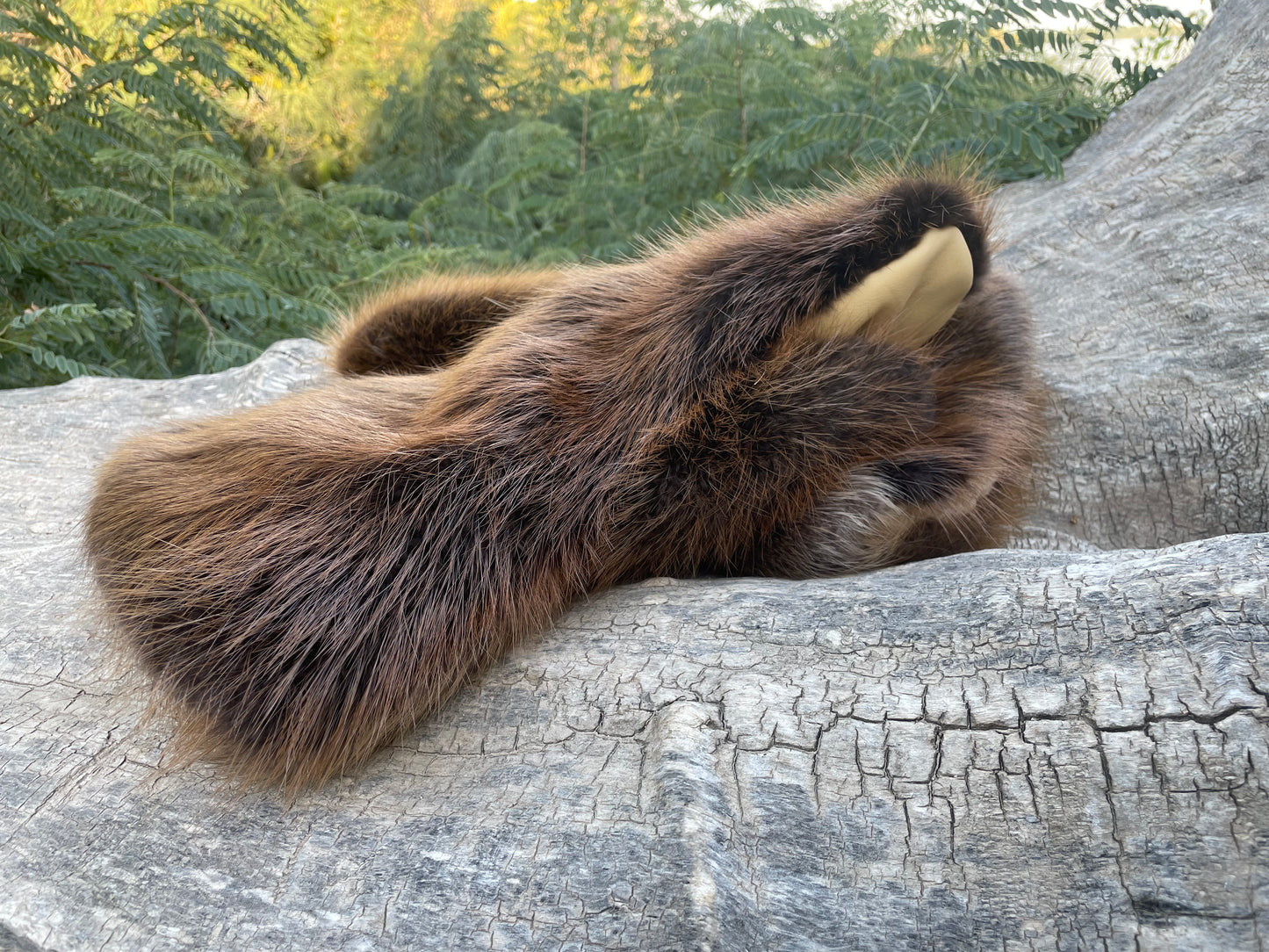 Beaver Gauntlets