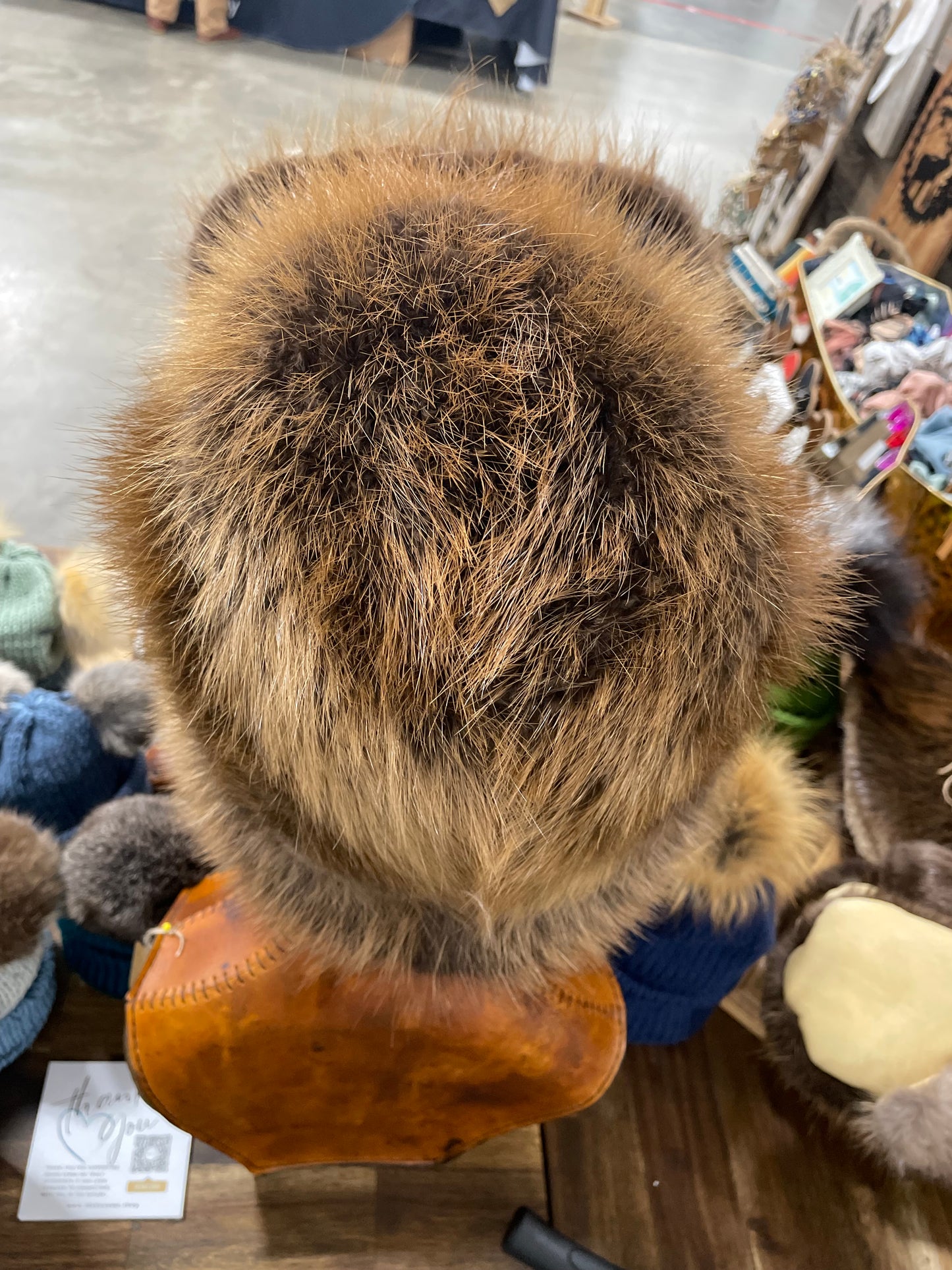 Beaver trapper hat