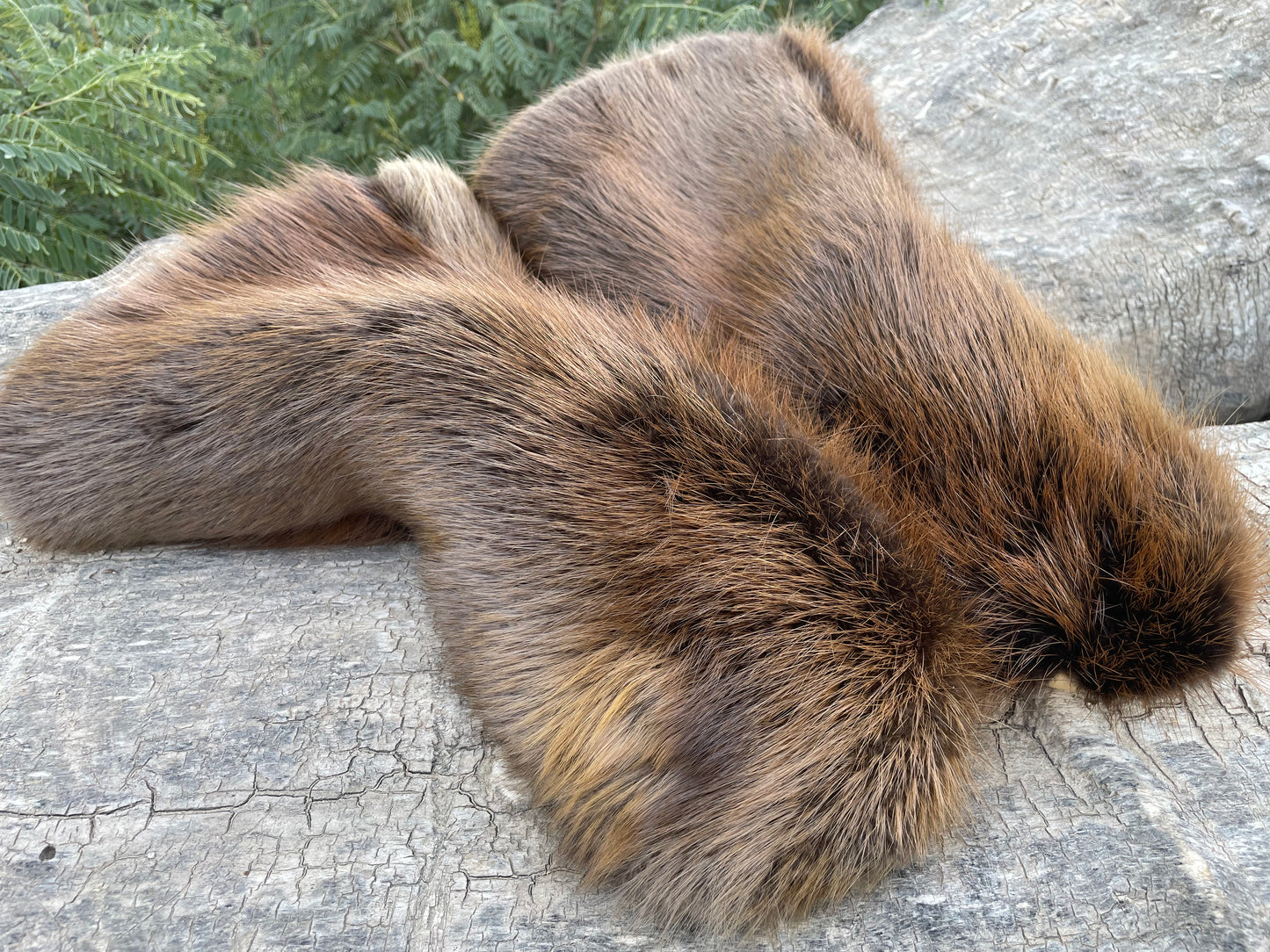 Beaver Gauntlets